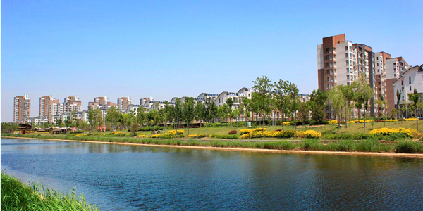 1558928798112911.jpg 八里台示范镇一期景观带600.jpg